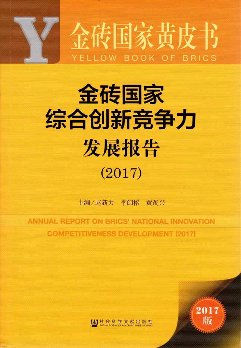 让人看了下面湿的视频金砖国家综合创新竞争力发展报告（2017）